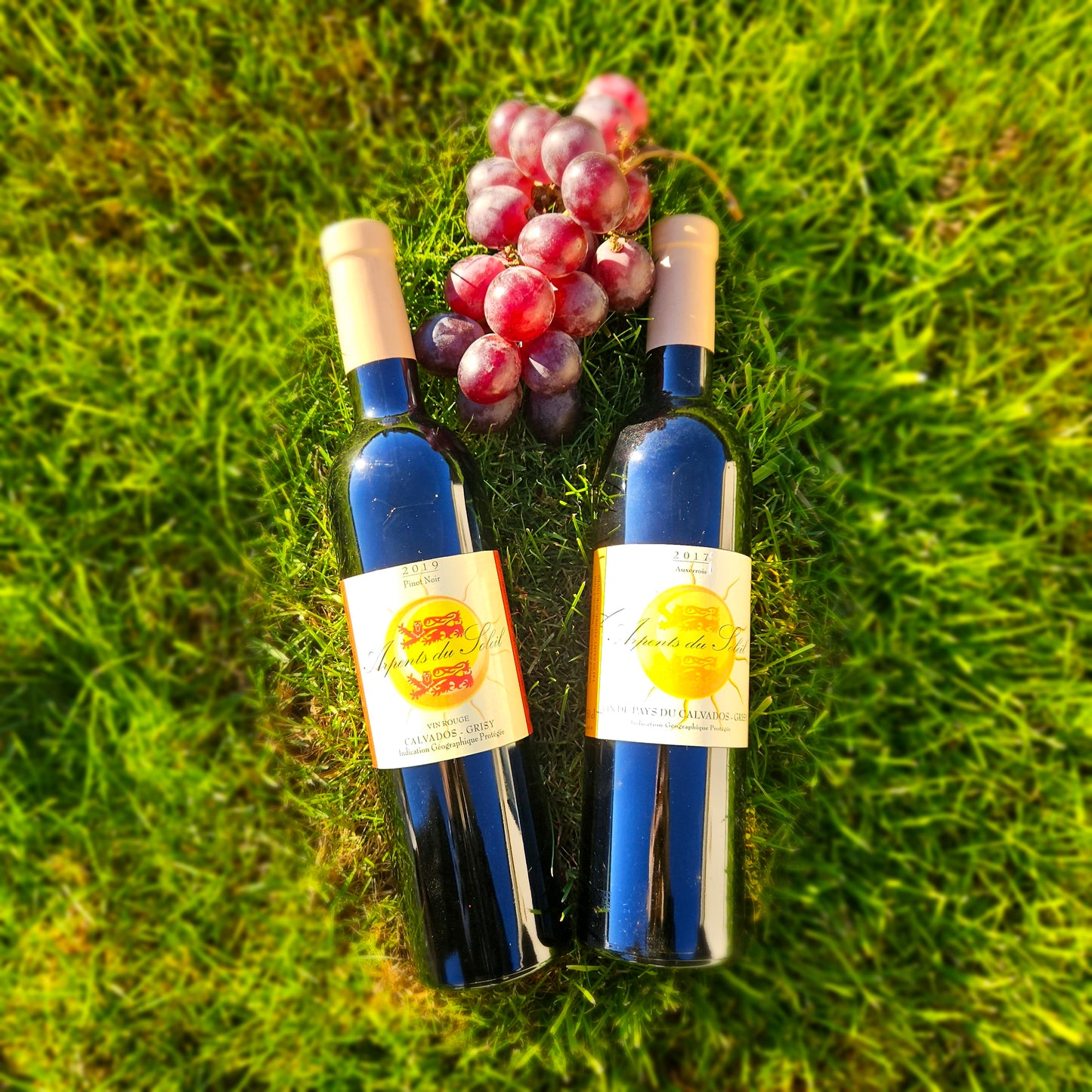 Vin Normand