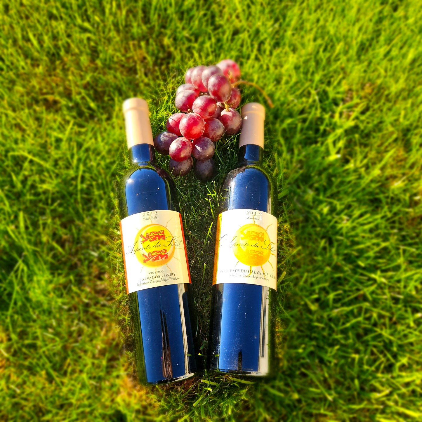 Vin Normand