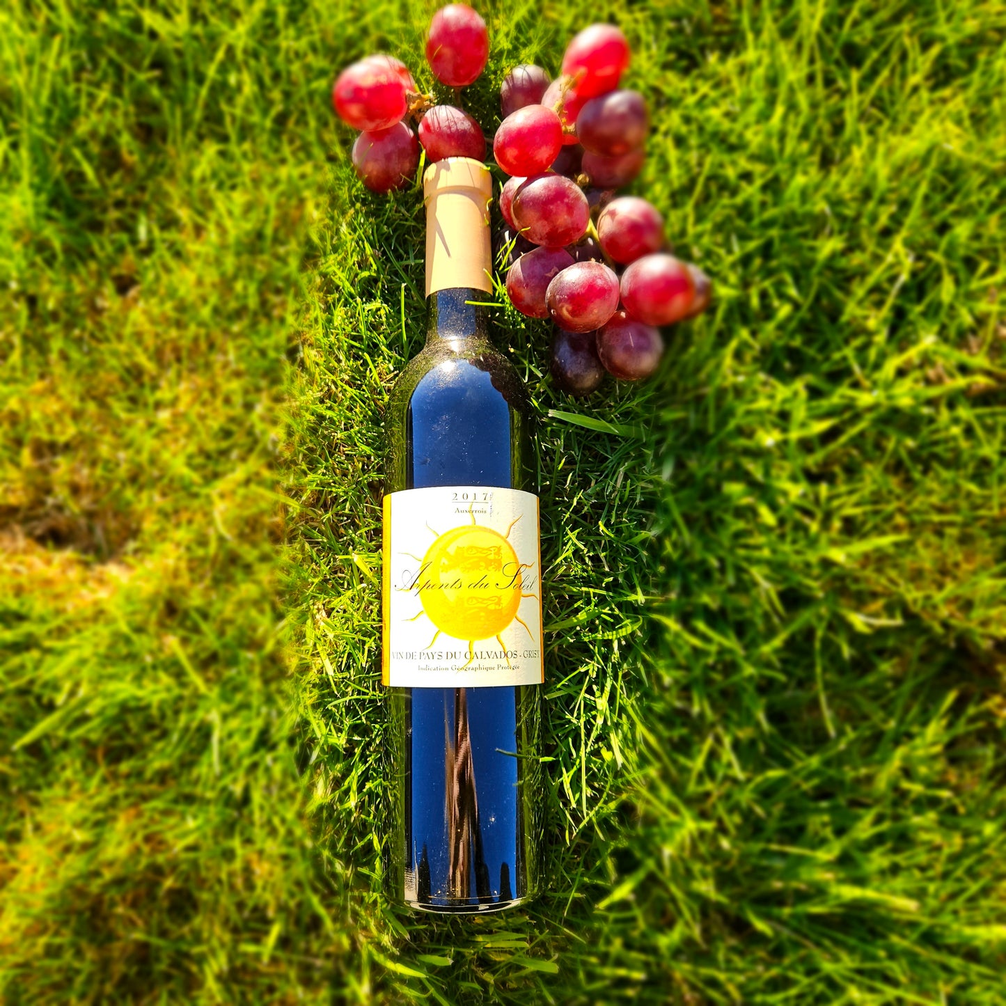 Vin Normand
