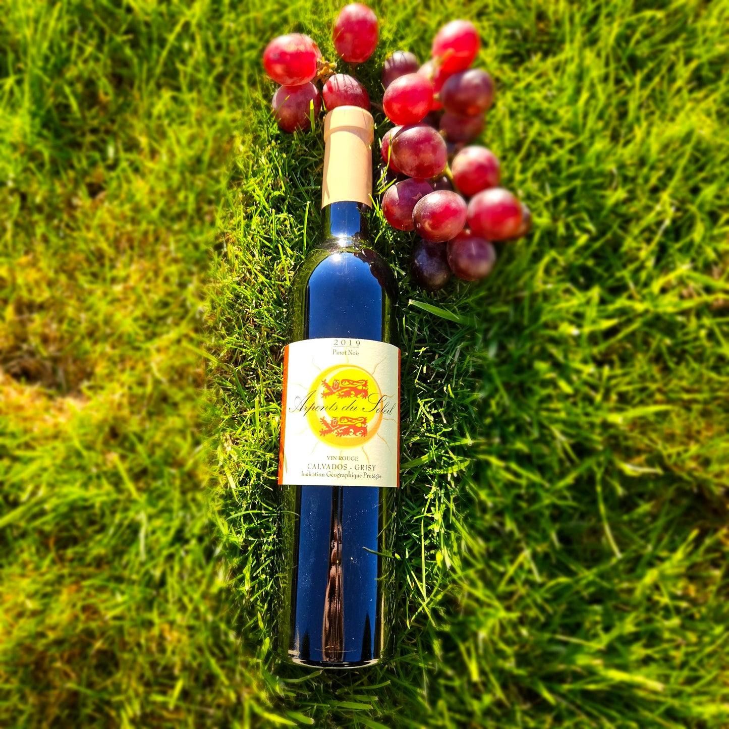 Vin Normand